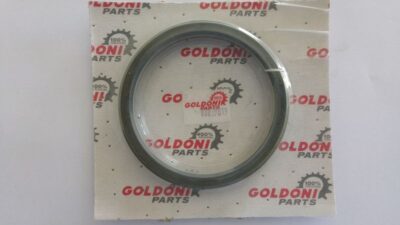 Paraolio sollevatore