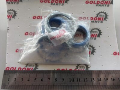 Kit cilindro sterzo 48/32