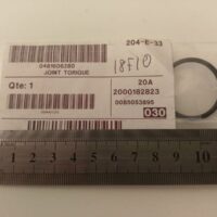 O-ring