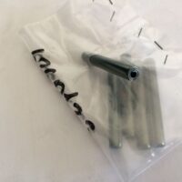 Spina elastica