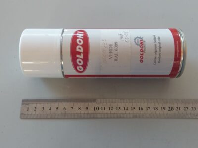 Vernice verde spray