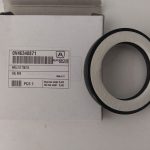 Anello tenuta