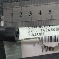 Pulsante