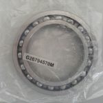 Cuscinetto PTO
