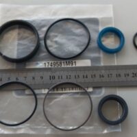 Kit revisione cilindro sterzo