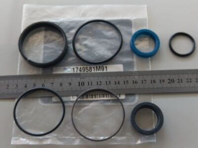 Kit revisione cilindro sterzo