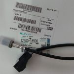 Sensore termico 0,0 - Nero
