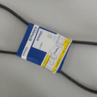 KIT Cinghia DoppiaPerkins