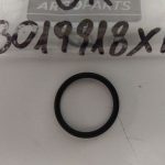 O-Ring