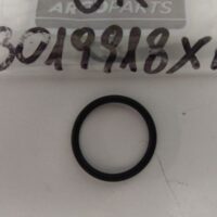 O-Ring