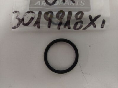O-Ring
