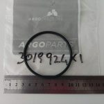 O-Ring