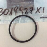 O-Ring