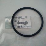 O-Ring
