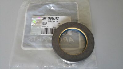 Anello tenuta