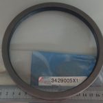 Paraolio