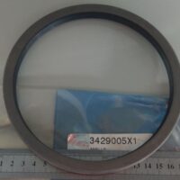 Paraolio