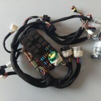 Fascio cavi linea cruscotto