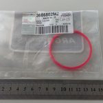 Anello rosso
