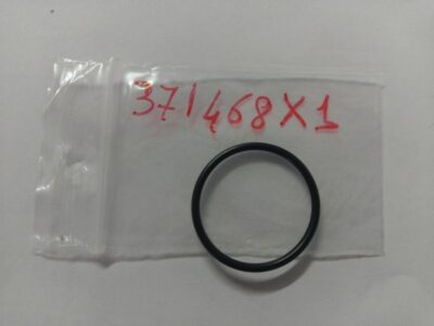 O-ring