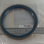 Paraolio