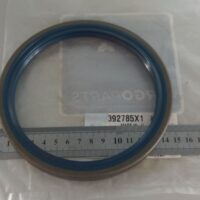 Paraolio