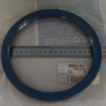 Paraolio