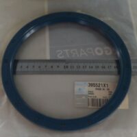 Paraolio
