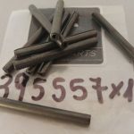Spina elastica