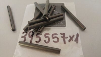 Spina elastica