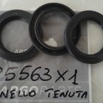 Paraolio