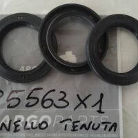Paraolio