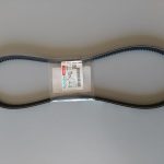 Cinghia V Fan