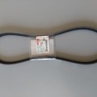 Cinghia V Fan