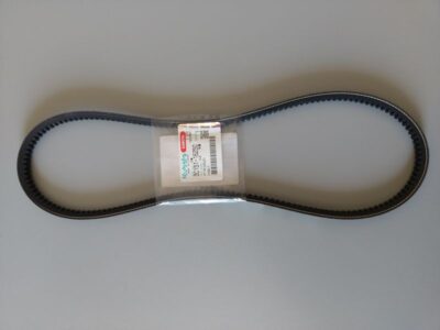 Cinghia V Fan