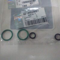 Kit O-ring ripristino