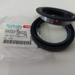 Paraolio