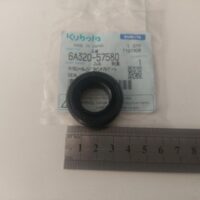 Paraolio