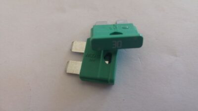 Fusibile 30 Amp Medio