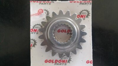 Ingranaggio Esterno Z19 ( sostituisce 00020099 )